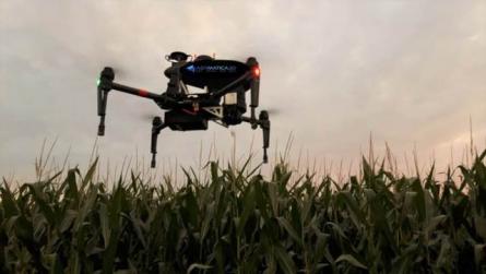 Как дроны помогают бороться с вредителями в сельском хозяйстве