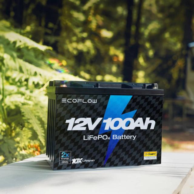 Тяговый аккумулятор EcoFlow 12 В 100 Ач LiFePO4 литиевый