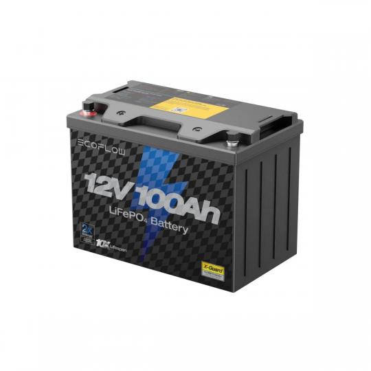 Тяговый аккумулятор EcoFlow 12 В 100 Ач LiFePO4 литиевый